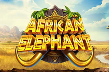 African Elephant